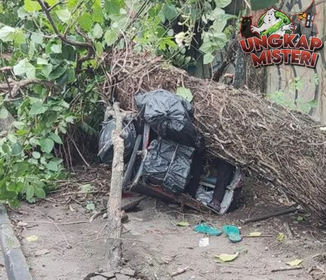 2 Korban Tertimpa Pohon Tumbang di Monjali Sleman