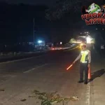 Pemuda Bawa Lamaran Kerja Tewas Kena Tabrak Lari