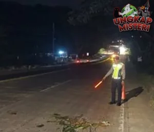 Pemuda Bawa Lamaran Kerja Tewas Kena Tabrak Lari