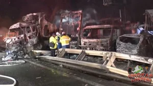 Tol Tokyo Tabrakan Massal Terparah dalam Sejarah!