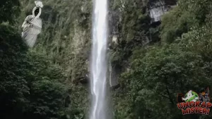 Air Terjun Pengantin Kisah Cinta Abadi atau Kutukan Maut?