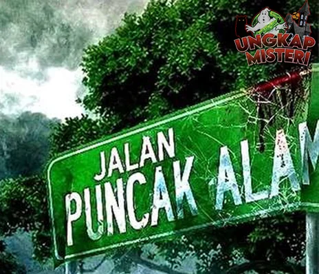 Jalan Puncak Alam Uji Nyali di Tengah Hutan Belantara!