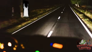 Jalan Puncak Alam Uji Nyali di Tengah Hutan Belantara!