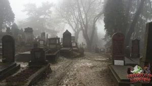 Kuburan 1004: Hantu Masa Lalu yang Menghantui!