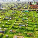 Kuburan 1004: Hantu Masa Lalu yang Menghantui!