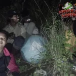 6 Mahasiswa Tersesat di Hutan Saat Tahun Baruan