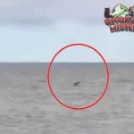 Pantai Kalap: Jejak Gaib di Setiap Sudut Pantai!