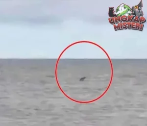 Pantai Kalap: Jejak Gaib di Setiap Sudut Pantai!