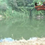 Kawah Sinila Mengamuk: 147 Nyawa Melayang di Dieng