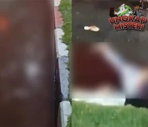 Pesan Terakhir Bocah Tisu: Tragis di Kendari, Menyayat Hati