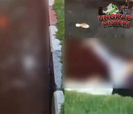 Pesan Terakhir Bocah Tisu: Tragis di Kendari, Menyayat Hati