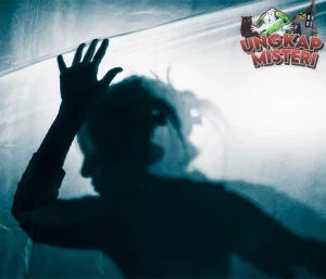 Analisis Sekte 506: Tragedi Besar di Swiss Tahun 1994