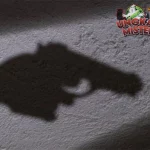 Cekcok Maut Pria AS Tembak Anak, Ngeri!