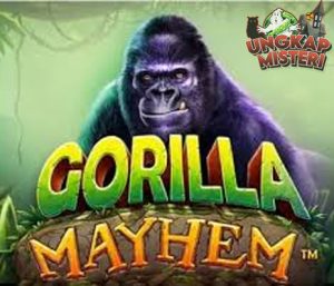 Gorilla Mayhem Sini Gue Bisikin Bro