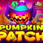 Pumpkin Patch Lancar Jaya Di HP Kentang