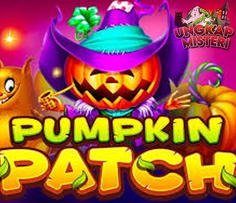 Pumpkin Patch Lancar Jaya Di HP Kentang